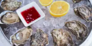 Oester op een schaal met ijs op de oesterboot Amsterdam