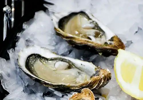 2 oesters die liggen op een bed van ijsblokjes