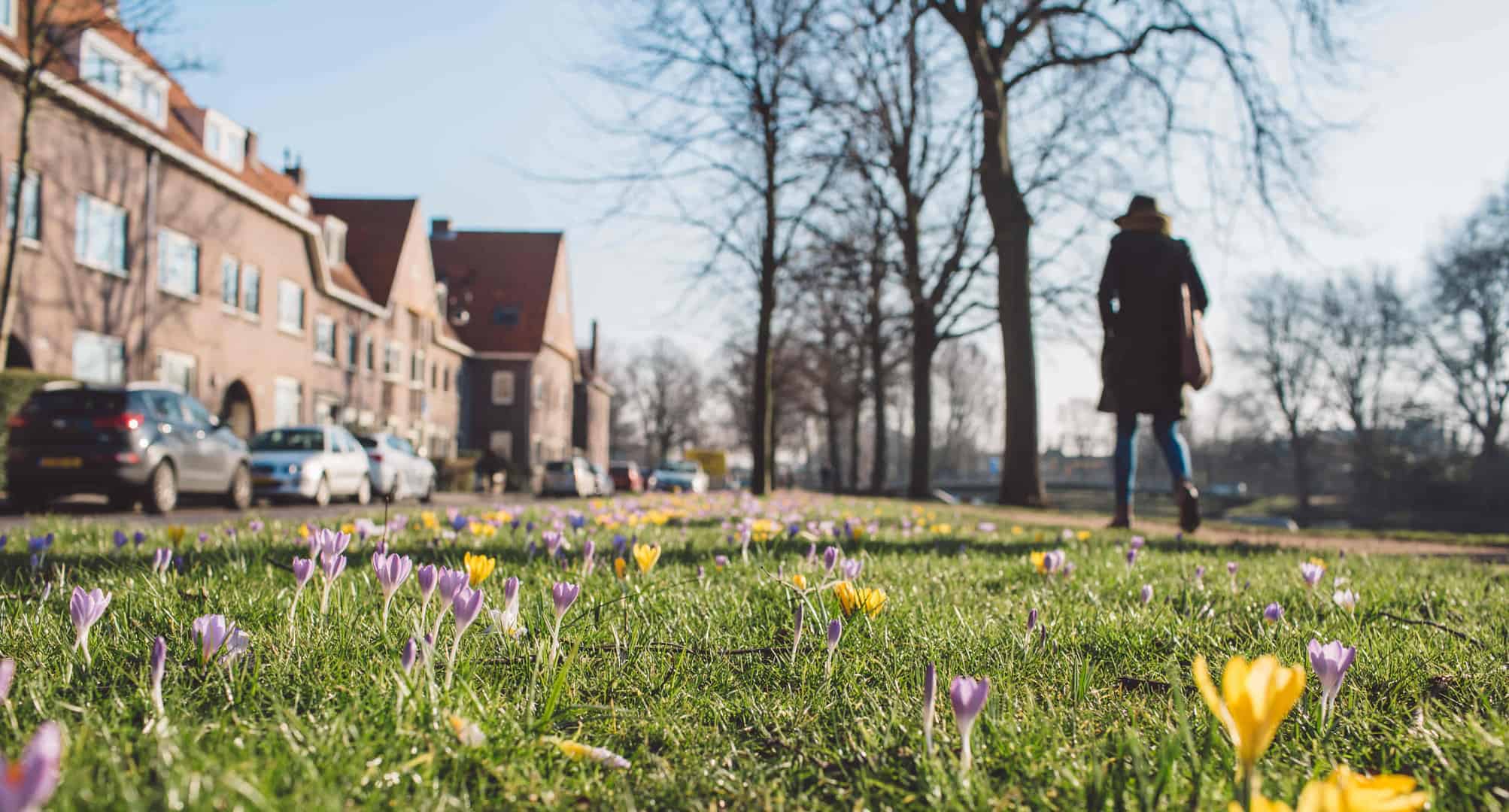 Haarlem Natuur