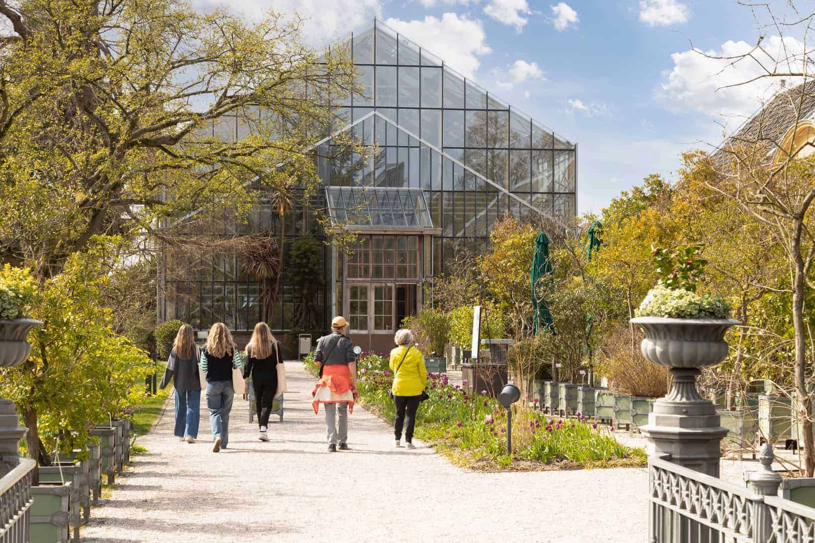 Menschen spazieren im Hortus Botanicus