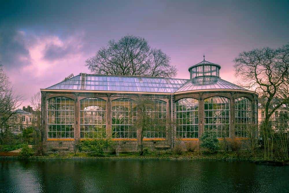 Hortus Botanicus Amsterdam