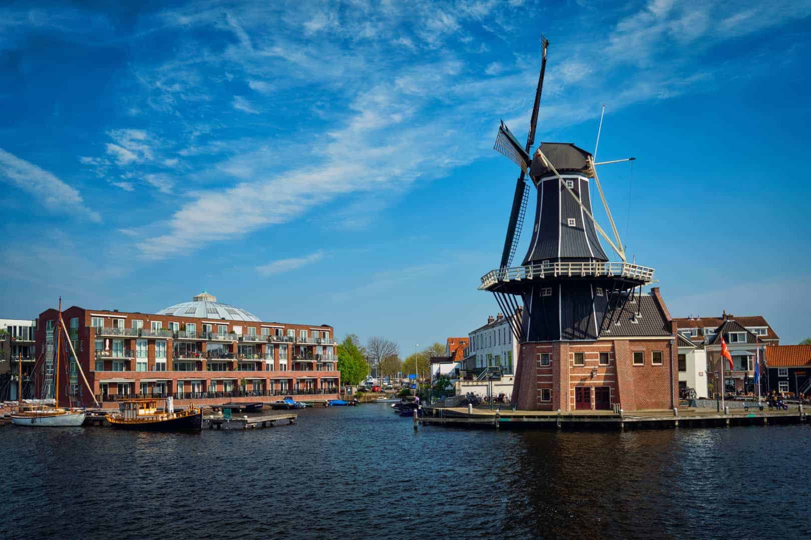 What to do in Haarlem Adriaan windmill